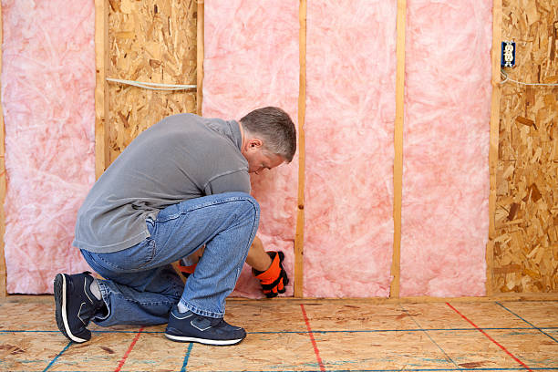 Best Insulation Installation Services in Troy, NC